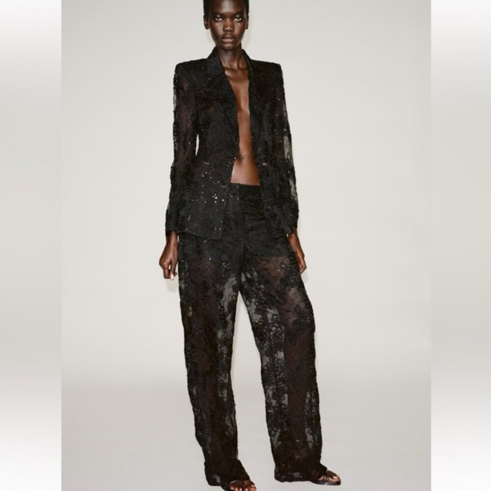 ZARA STRUCTURED SEQUINS SEMI-SHEER PANTS